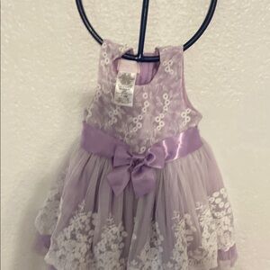 Bonnie Baby Purple Lace Dress with Bow